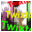 Download Twixtor