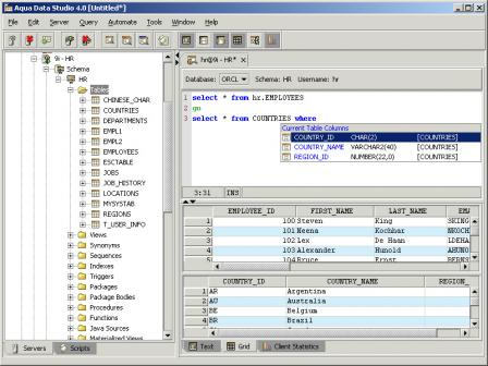 Aqua Data Studio Screenshot