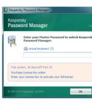 Kaspersky Password Manager Screenshot