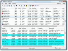 Portable EF Process Manager Screenshot