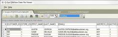 Portable Q-Eye QlikView Data File Editor Screenshot