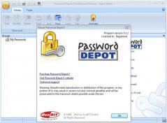 Password Depot Professional Screenshot