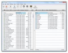 FTP Disk Screenshot