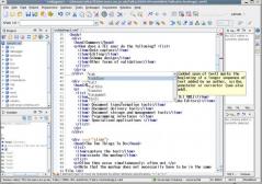 oXygen XML Editor Screenshot