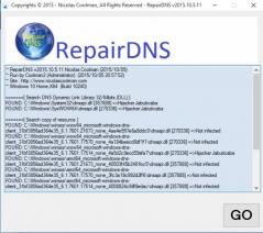 RepairDNS Screenshot