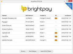 BrightPay Screenshot
