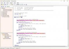 VisualFiles Script Editor Screenshot