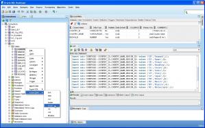Oracle SQL Developer Screenshot