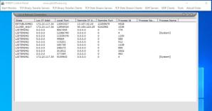 Network Traffic Generator and Monitor Screenshot