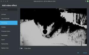 Webcamoid Screenshot