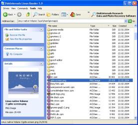 DiskInternals Linux Reader Screenshot