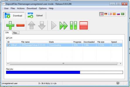 DepositFiles FileManager Screenshot