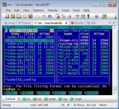Portable SecureCRT Screenshot
